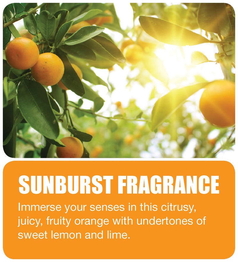 Big D 345 Odor Control Fogger, Sunburst Fragrance, 5 oz (Pack of 12) - Kills odors from fire, flood, decomposition, skunk, cigarettes, musty smells - Ideal for use in cars, property management, hotels - Image 1